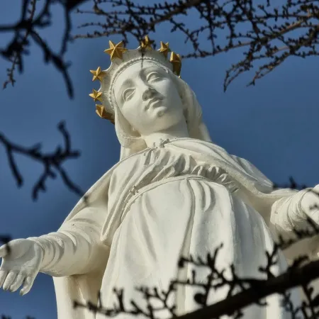 Content Licensing in MMN